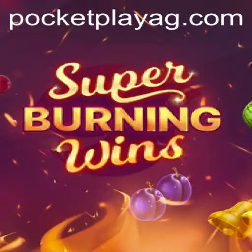 Exploring the World of SuperBurningWins: A Comprehensive Guide